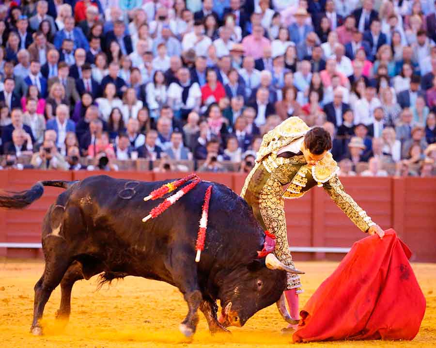 SEVILLA TAURINA (@sevillataurina) on Twitter photo CRÓNICA ST.- Morante y sus detalles de autor / OPINIÓN ST.- "La valentía de Morante" (sevillataurina.com/2025/05/09/386…) <a href="/sevillataurina/">SEVILLA TAURINA</a> <a href="/ManoloVieraN/">Manolo Viera</a> <a href="/Toromedia12/">Toromedia</a> <a href="/isanchezmejias/">Ignacio Sánchez-Mejías</a> <a href="/maestranzapages/">La Maestranza-Pagés</a> <a href="/UTAMAESTRANZA/">Unión Taurina de Abonados y Aficionados de Sevilla</a> <a href="/eromerotpt/">Enrique Romero</a> <a href="/Moranteinfo/">Morante de la Puebla</a> <a href="/InfoDanielLuque/">Daniel Luque</a> <a href="/Tomasrufo_toros/">Tomas Rufo Roman</a> <a href="/Toroslidia/">Real Unión de Criadores de Toros de Lidia</a> CRÓNICA ST.- Morante y sus detalles de autor / OPINIÓN ST.- "La valentía de Morante" (sevillataurina.com/2025/05/09/386…) <a href="/sevillataurina/">SEVILLA TAURINA</a> <a href="/ManoloVieraN/">Manolo Viera</a> <a href="/Toromedia12/">Toromedia</a> <a href="/isanchezmejias/">Ignacio Sánchez-Mejías</a> <a href="/maestranzapages/">La Maestranza-Pagés</a> <a href="/UTAMAESTRANZA/">Unión Taurina de Abonados y Aficionados de Sevilla</a> <a href="/eromerotpt/">Enrique Romero</a> <a href="/Moranteinfo/">Morante de la Puebla</a> <a href="/InfoDanielLuque/">Daniel Luque</a> <a href="/Tomasrufo_toros/">Tomas Rufo Roman</a> <a href="/Toroslidia/">Real Unión de Criadores de Toros de Lidia</a>