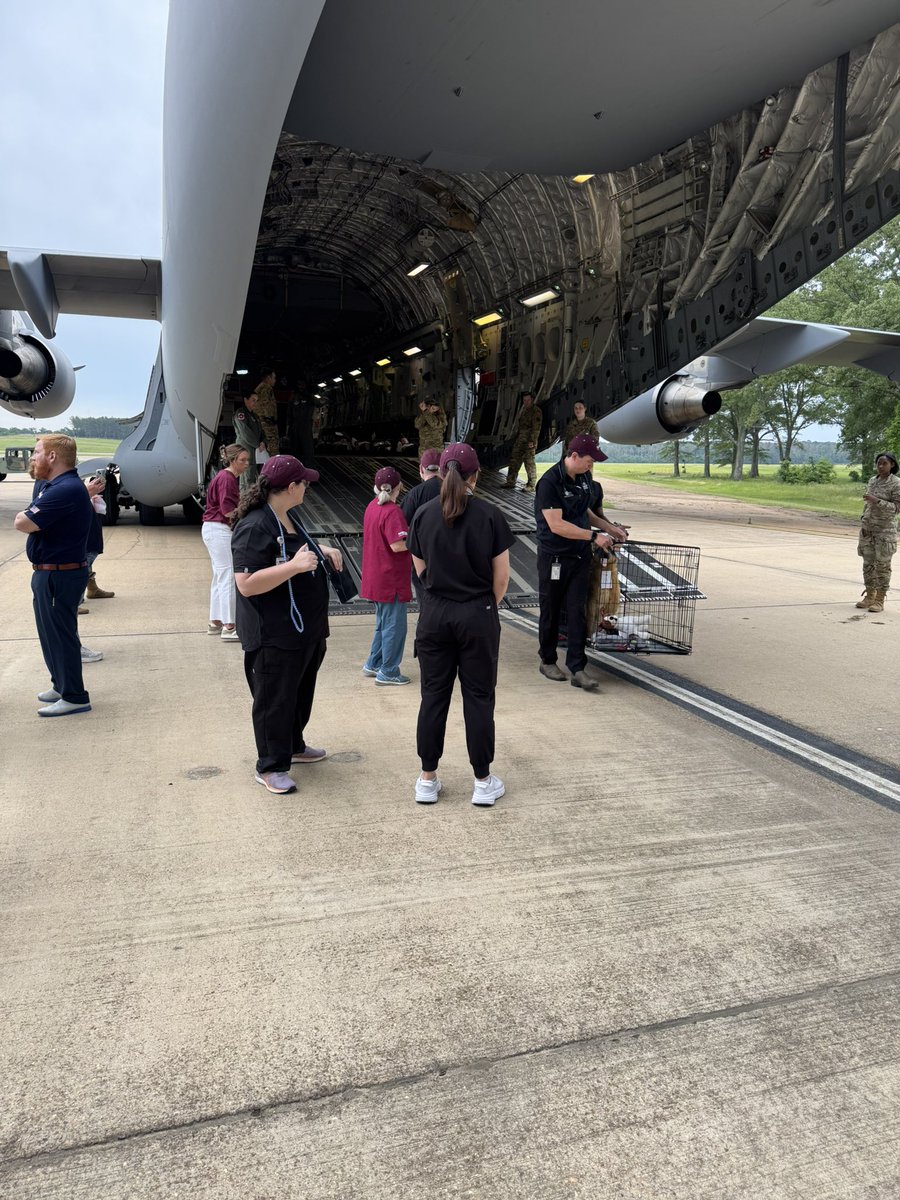 Center for Government & Community Development tweet media