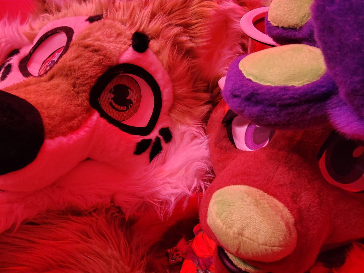 ConfusedFoxcoon's tweet image. Been too long since I've been con-ing forgot how many cuties go to raves!
#FWA #Fursuit🧡💜💚