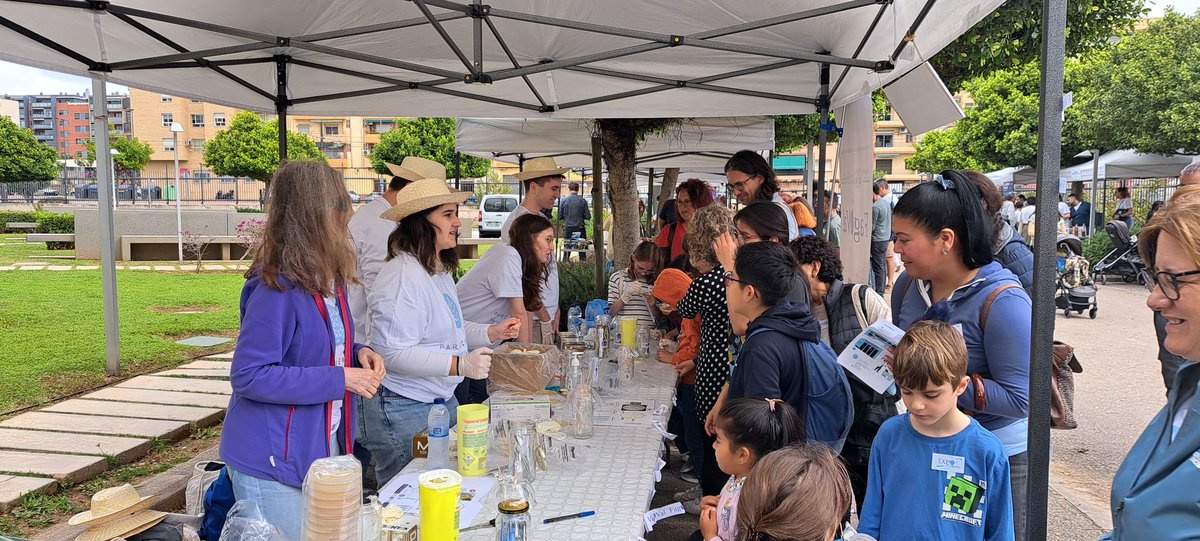 Micromón València. Tiny Earth, SWI, Micromundo tweet media