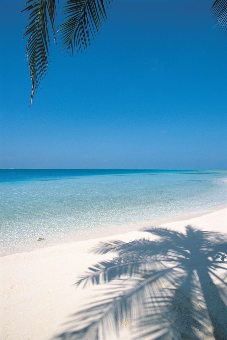 turquesa_711's tweet image. 🩵