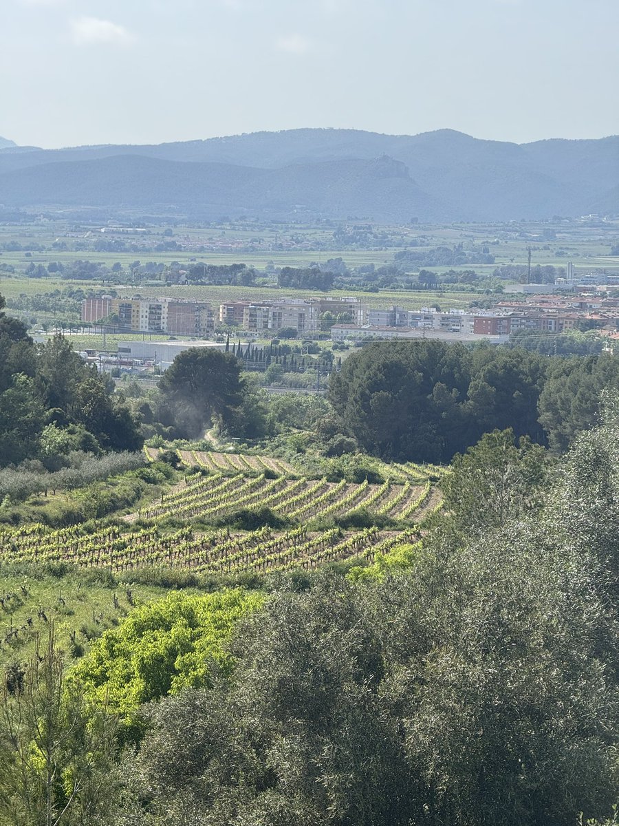 El Penedès està en perill, serem al costat del territori.

Serem al bàndol correcte.

Protegirem el què som i el què ens fa ser.