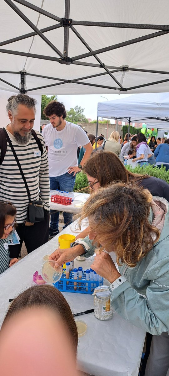 Micromón València. Tiny Earth, SWI, Micromundo tweet media