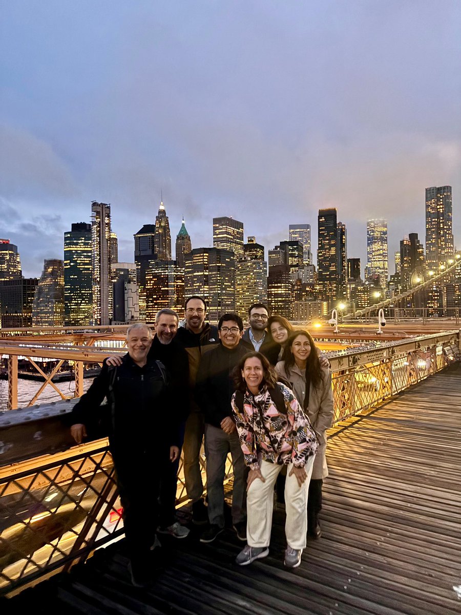 After another great day at <a href="/PRDAssociation/">IAPRD</a> meeting, time to enjoy the beautiful city of NY and some yummy food with a great group of <a href="/LARGE_PD/">LARGE-PD</a> colleagues! #IAPRD2025