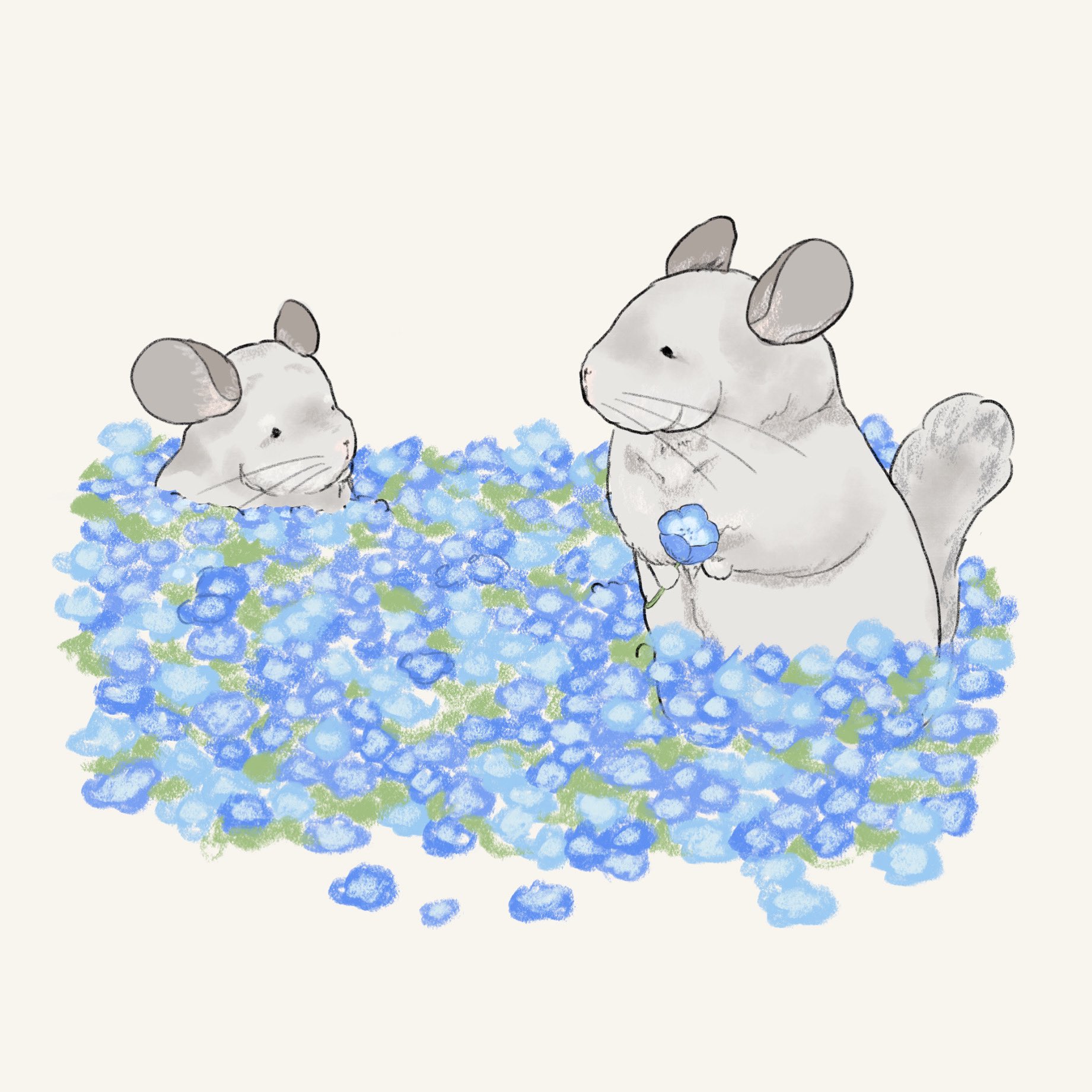 T様似顔絵オーダーチンチラ似顔絵 チンチライラスト うちの子 ペット似顔絵 チンチラ (うちの子