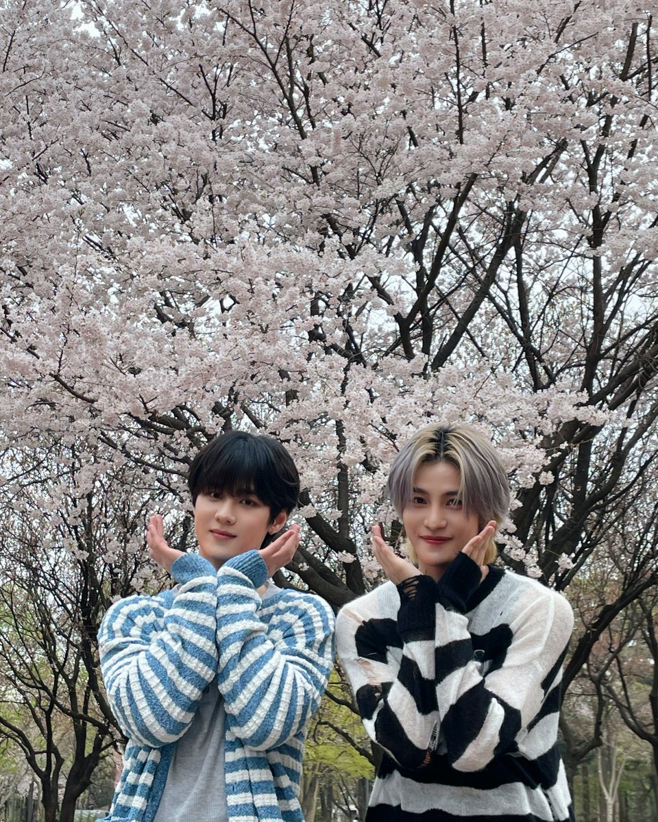 WayV tweet media