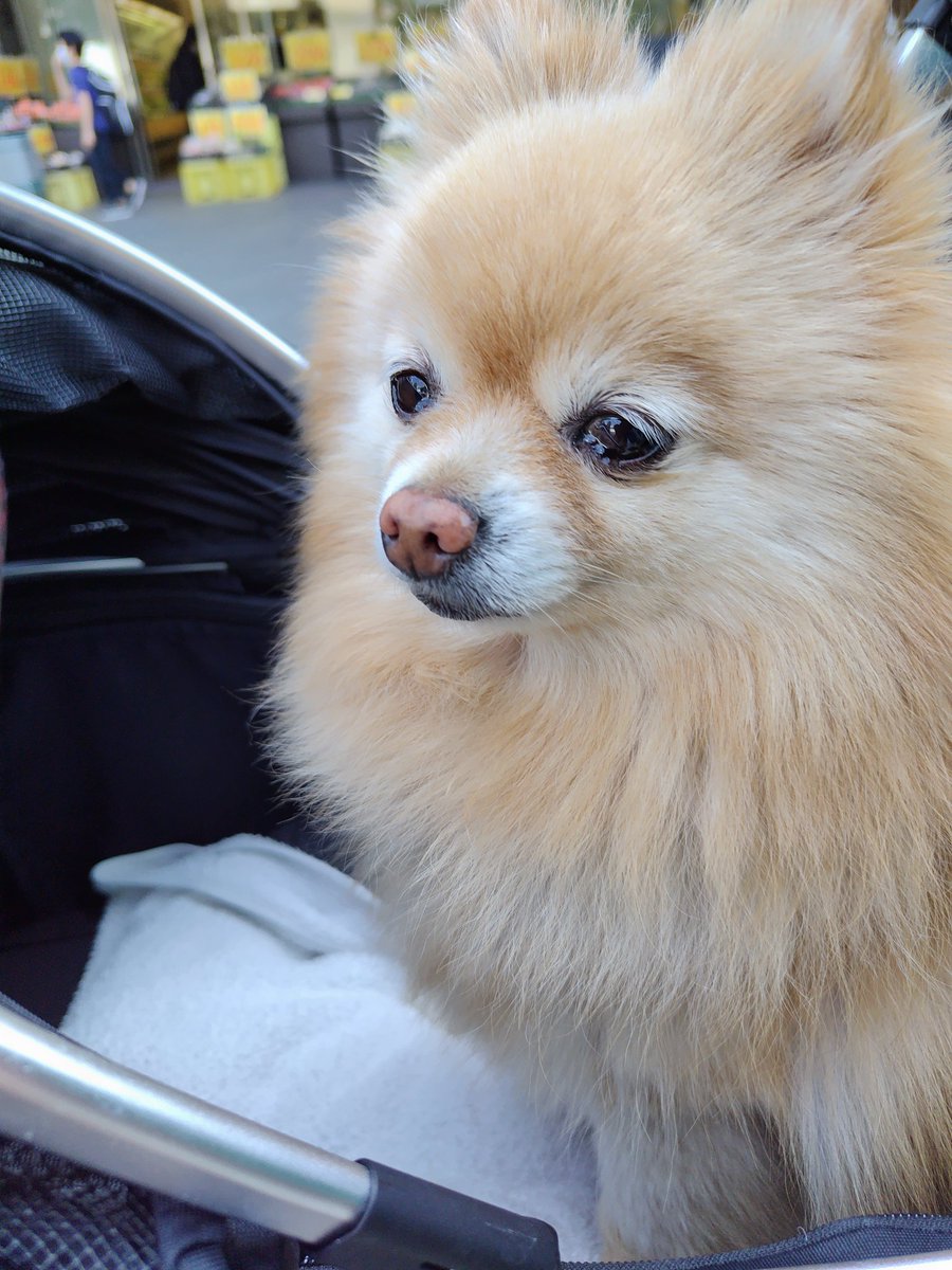 友理　潤 tweet media