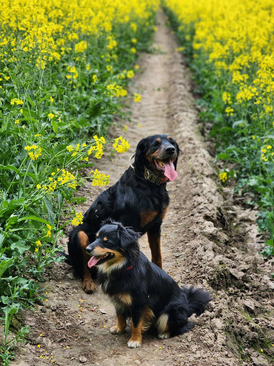 Easy Rider tweet media