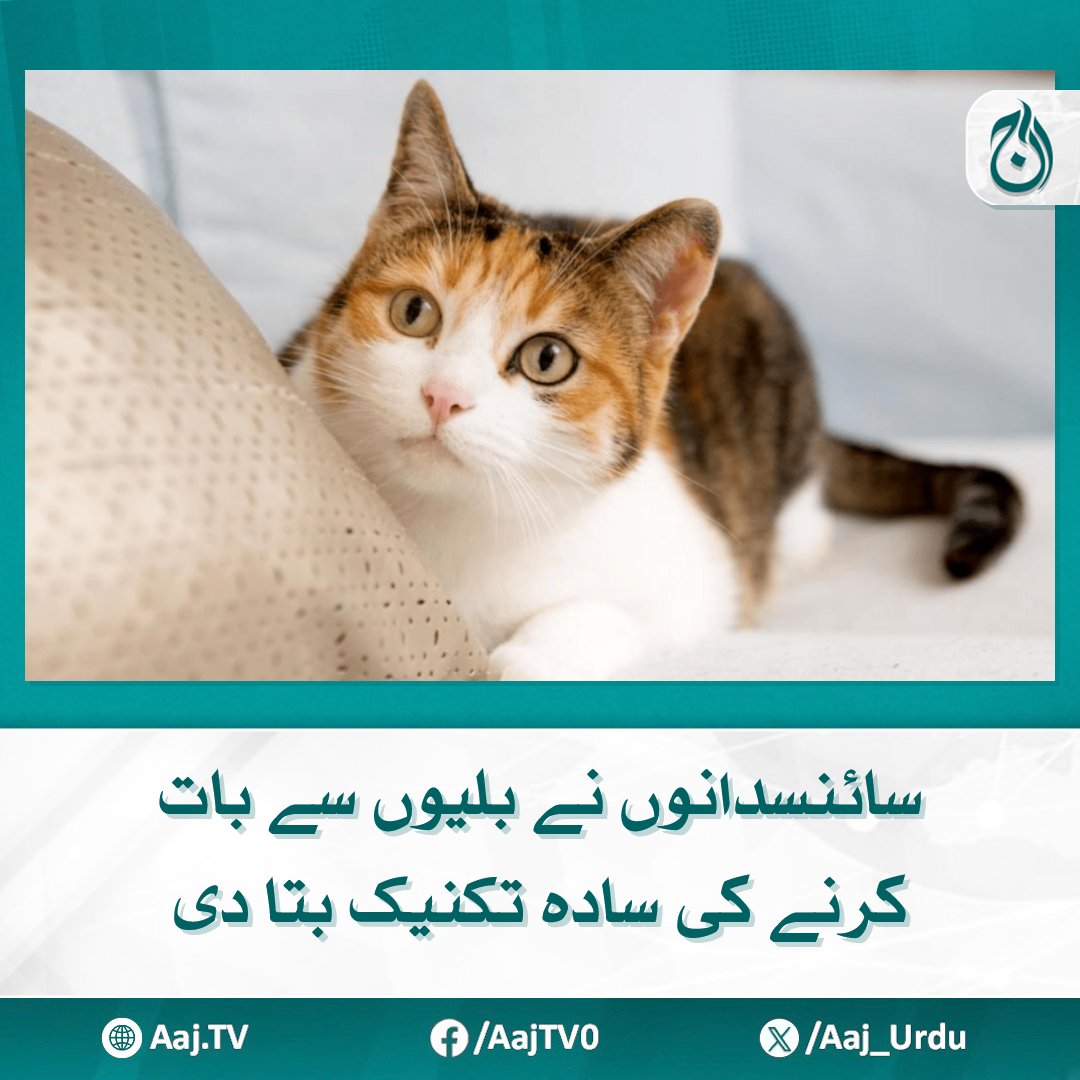 Aaj_Urdu's tweet photo. اس تحقیق کو سمجھنے کے لیے محققین نے دو تجربات کیے
https://t.co/HHkSLePXtL
#AajNews #scientists #cats #simpletechniques #catlovers #PetScience #animalcommunication https://t.co/hVTx2hpA7A
