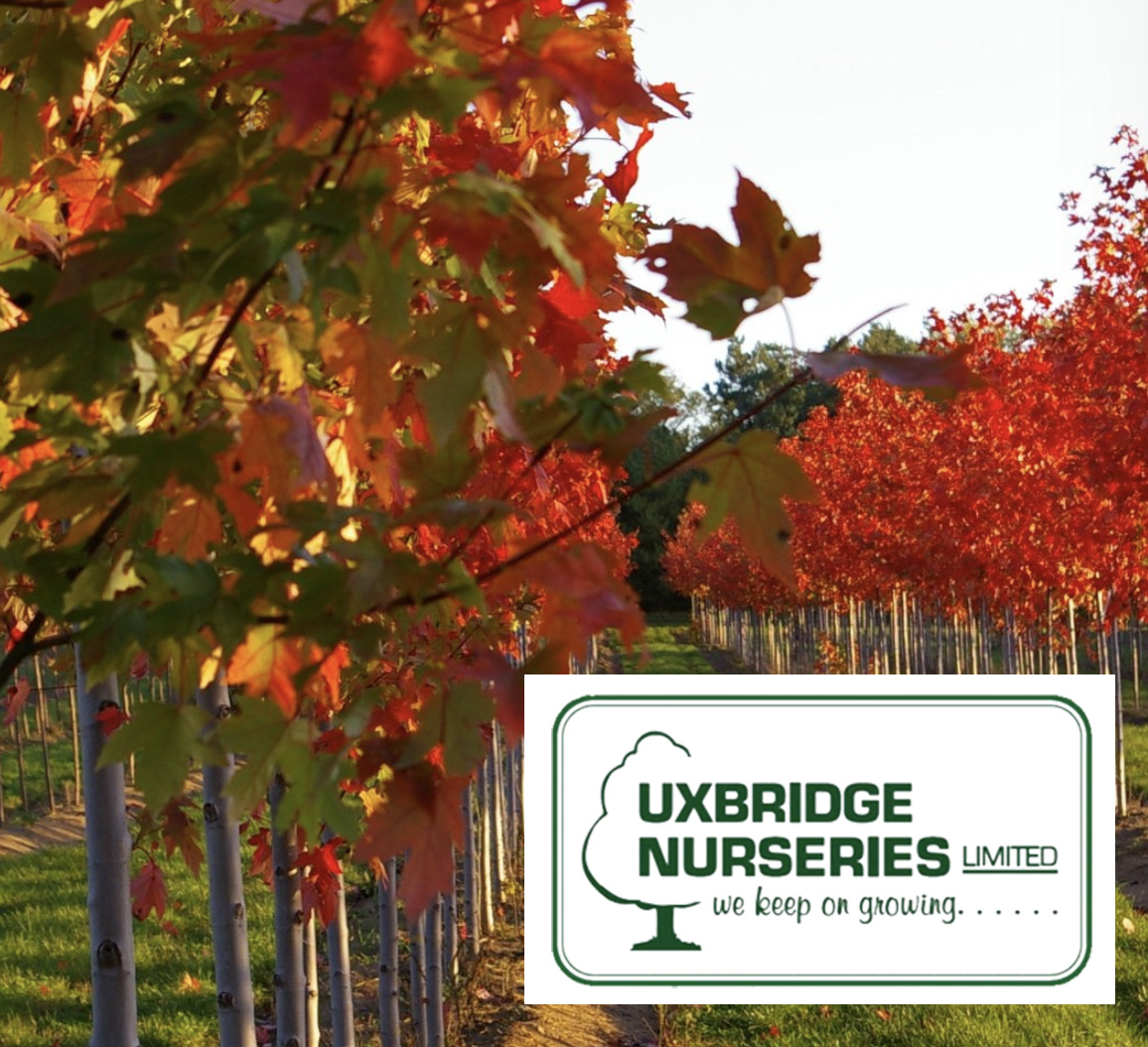 #nurserypartner #shoutout to @Uxbridge Nurseries Ltd in Brooklin, Ontario - one of our top 5 referring nurseries! Thank you for growing native Canadian maples and for encouraging people to plant them!
uxbridgenurseries.com