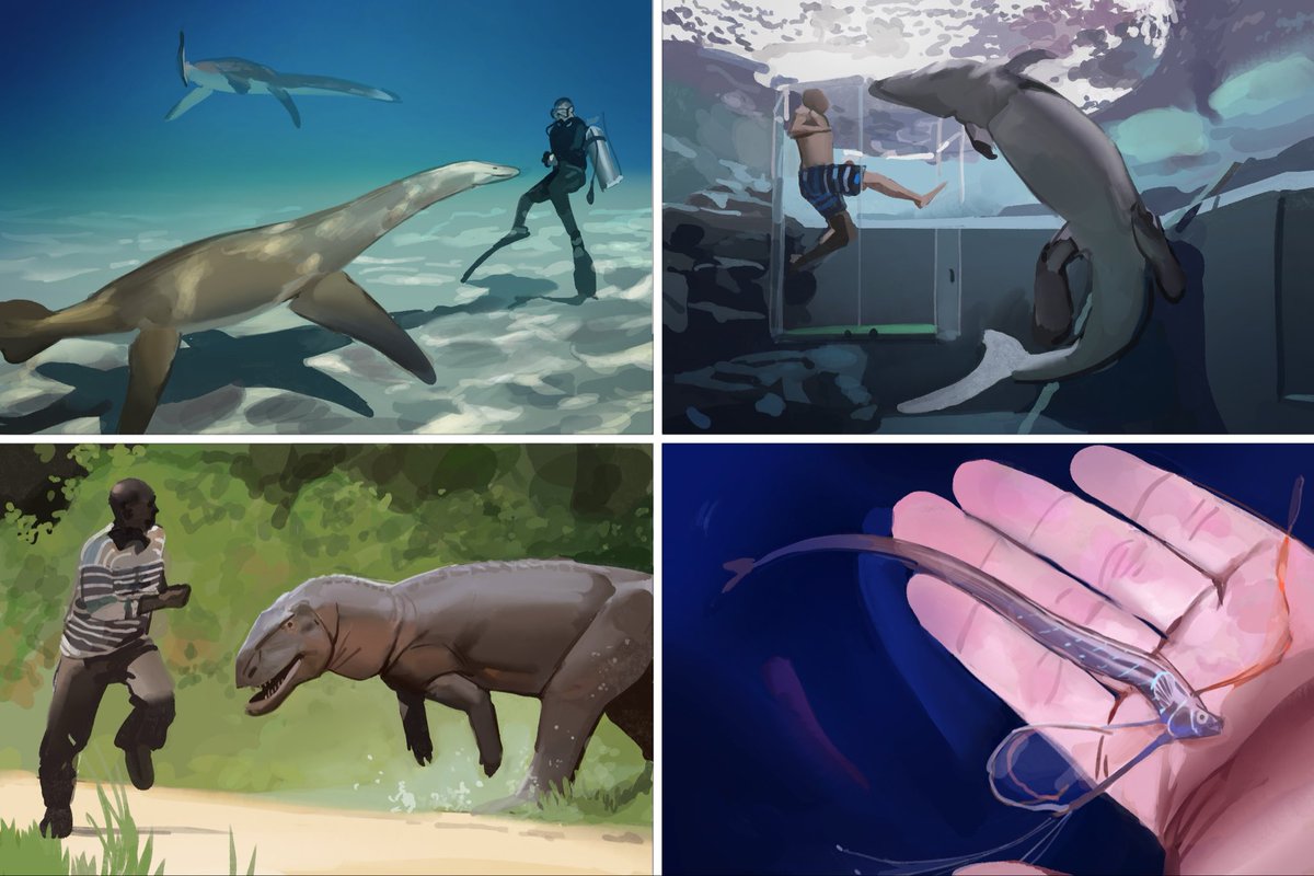 Kamitoge's tweet image. Results from this week’s #paleostream
Attenborosaurus, Dakosaurus, Etjosuchus and Dibango