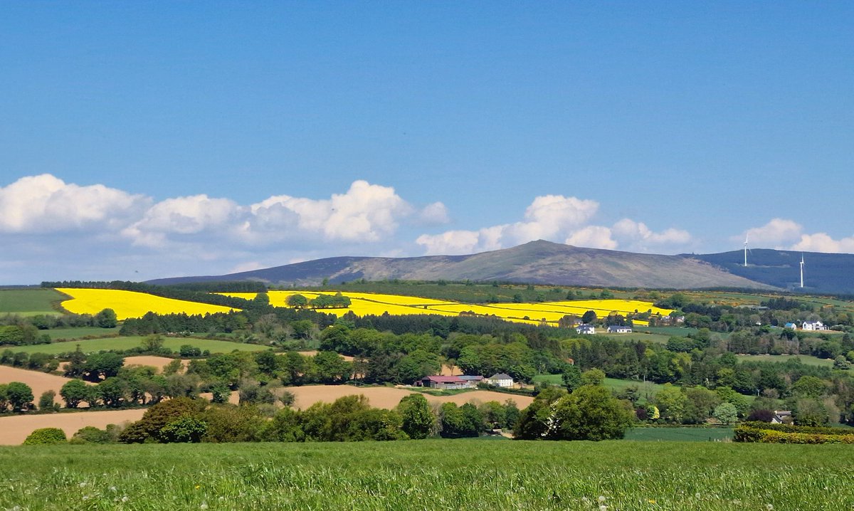 Fionntán Ó Súilleabháin TD (@fionntantd) on Twitter photo Croghan, on the #Wicklow #Wexford border. I had to stop the car to capture the beauty of our ever-changing landscape
#summer <a href="/Love_Gorey/">LoveGorey</a> #discoverireland <a href="/Wexford_Weekly/">Wexford Weekly</a> <a href="/TourismIreland/">Tourism Ireland</a> <a href="/WexfordTrails/">Wexford Trails</a> <a href="/WicklowUplands/">Wicklow Uplands Council</a> <a href="/WicklowN/">Wicklow Nature</a> Croghan, on the #Wicklow #Wexford border. I had to stop the car to capture the beauty of our ever-changing landscape
#summer <a href="/Love_Gorey/">LoveGorey</a> #discoverireland <a href="/Wexford_Weekly/">Wexford Weekly</a> <a href="/TourismIreland/">Tourism Ireland</a> <a href="/WexfordTrails/">Wexford Trails</a> <a href="/WicklowUplands/">Wicklow Uplands Council</a> <a href="/WicklowN/">Wicklow Nature</a>