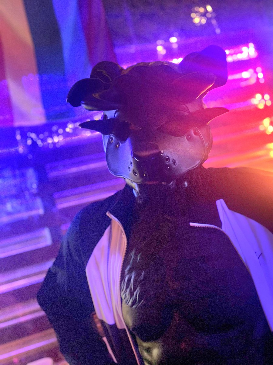 Pup_Psyc's tweet photo. Beautiful PuP-Night Tonight! #puppyplay #FurryBar thanks to @Smitizen #Smitizen https://t.co/vhE1WYwjUu