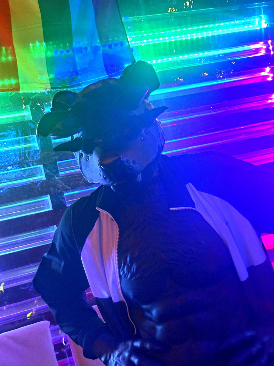 Pup_Psyc's tweet photo. Beautiful PuP-Night Tonight! #puppyplay #FurryBar thanks to @Smitizen #Smitizen https://t.co/vhE1WYwjUu