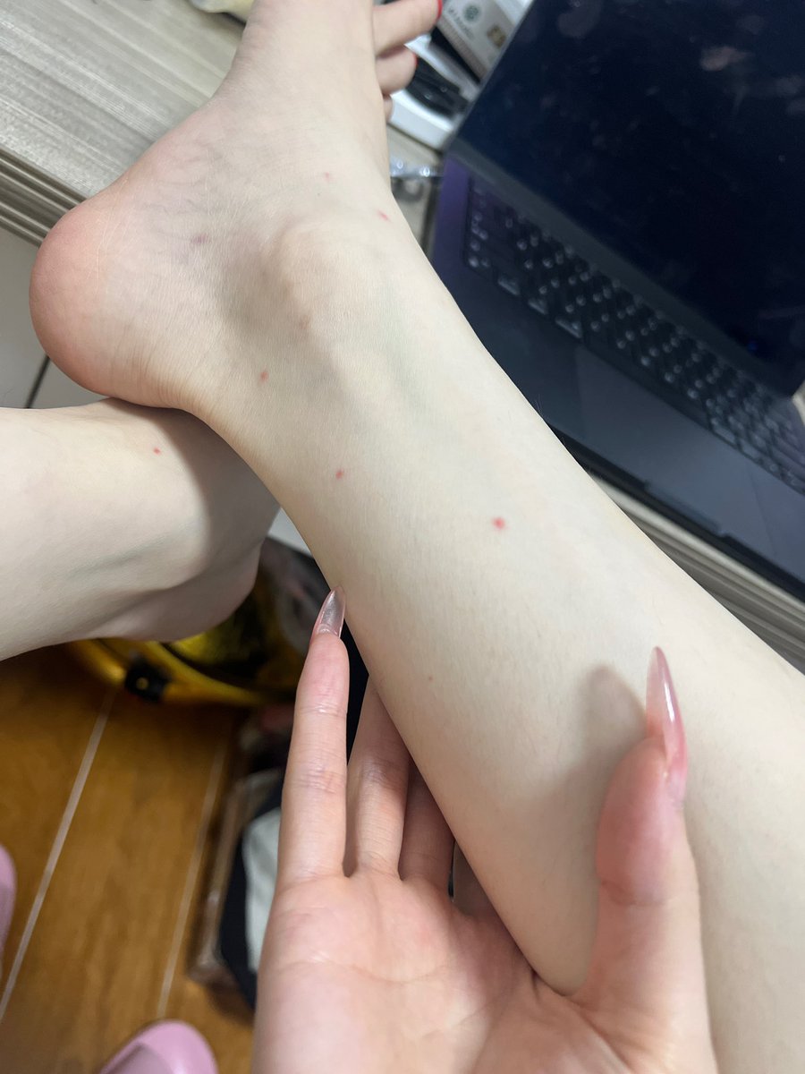 Web3热宝学AI tweet media