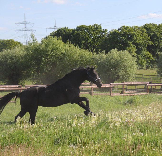 ...feels like summer... 🥰