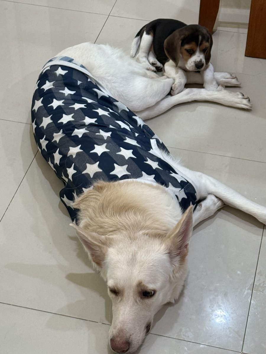 まぁくんページ まぁくん (@___ma_kun___) • Instagram photos and videos