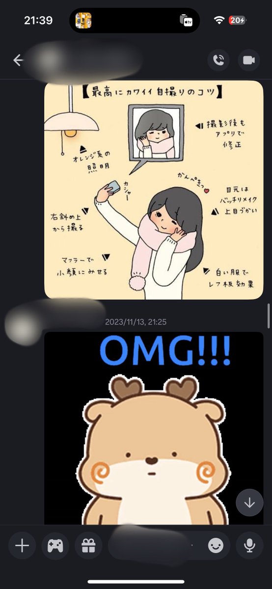 たぬき太郎(表) tweet media