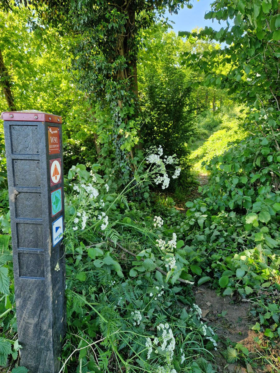De Poort van Lochem wandelroute door Twickel bij De Heest is nu nog mooier mooilochem.nl/de-poort-van-l…
