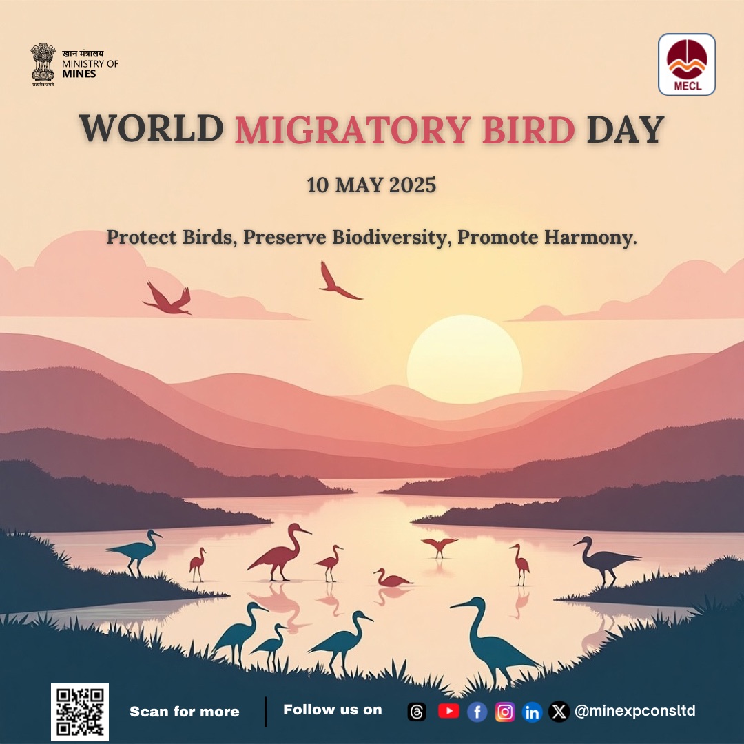 minexpconsltd's tweet image. Celebrating World Migratory Bird Day!

Let’s protect the pathways of our winged travelers and preserve their habitats for generations to come. Migratory birds remind us of the importance of global cooperation for nature conservation.

#WorldMigratoryBirdDay #ProtectBirds #Flyways