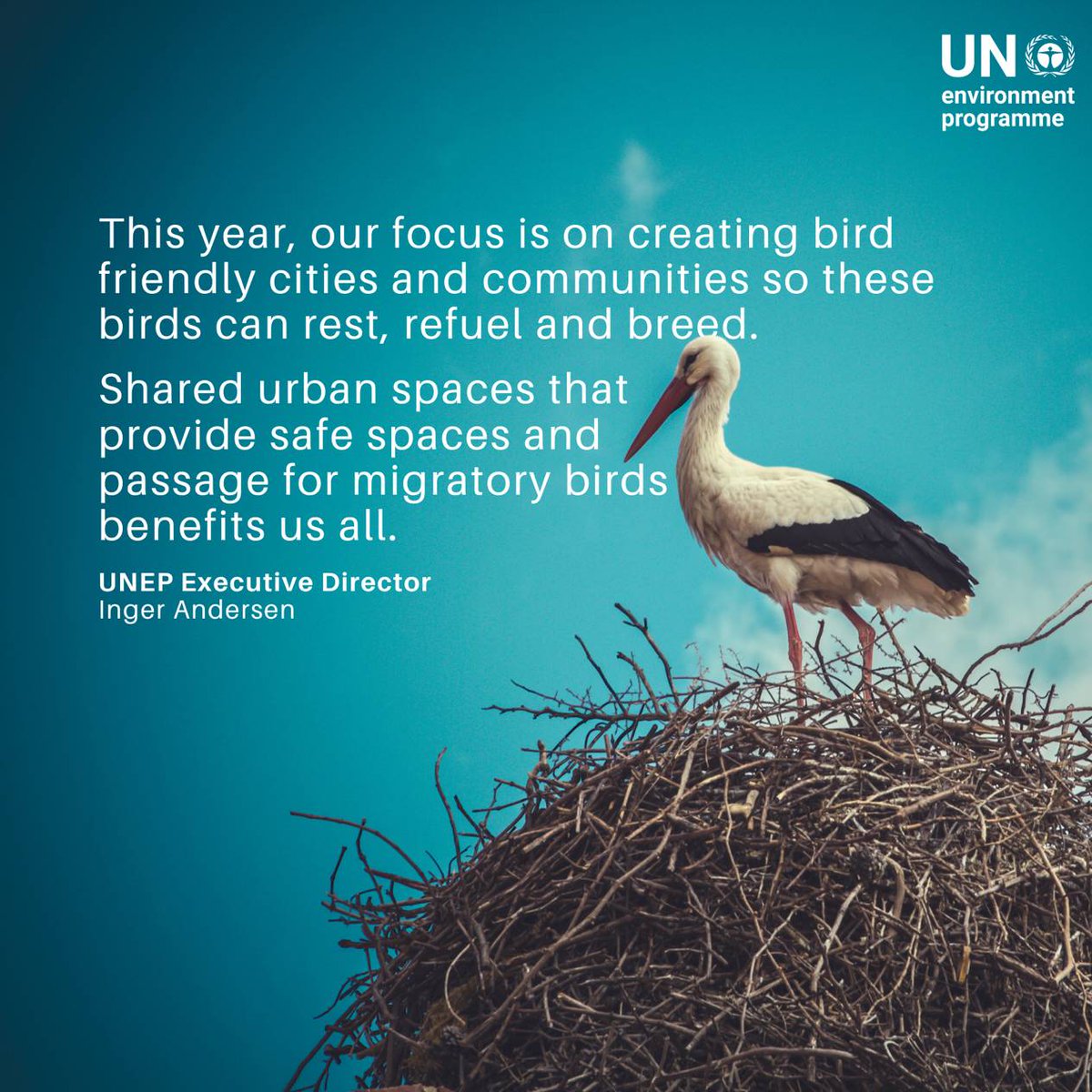 UN Environment Programme (@unep) on Twitter photo As urban areas expand, natural habitats shrink—putting migratory birds at risk. For #WorldMigratoryBirdDay, UNEP Executive Director
<a href="/andersen_inger/">Inger Andersen</a> emphasizes the need for #SafeSpaces to protect these birds, which are essential to sustaining the planet’s biodiversity. As urban areas expand, natural habitats shrink—putting migratory birds at risk. For #WorldMigratoryBirdDay, UNEP Executive Director
<a href="/andersen_inger/">Inger Andersen</a> emphasizes the need for #SafeSpaces to protect these birds, which are essential to sustaining the planet’s biodiversity.