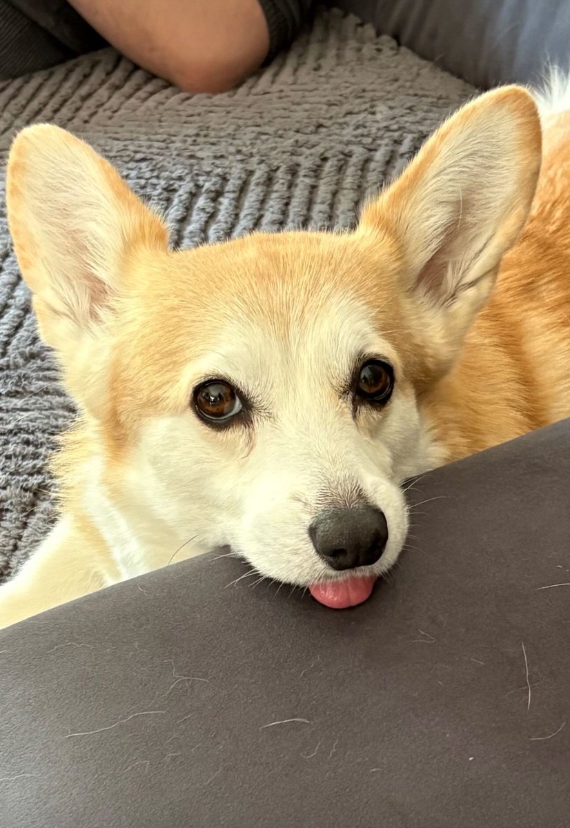 Jess ✨ tweet media