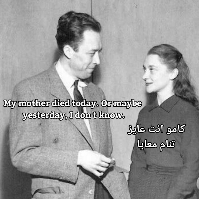 Penguin chasing a butterfly. (@thematrix1999_) on Twitter photo 