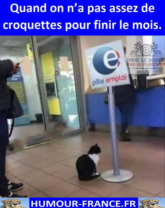 text alternatif