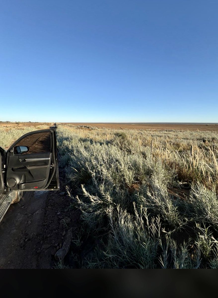 Por acá lindo día … 
Buen fin de semana ! 🙌