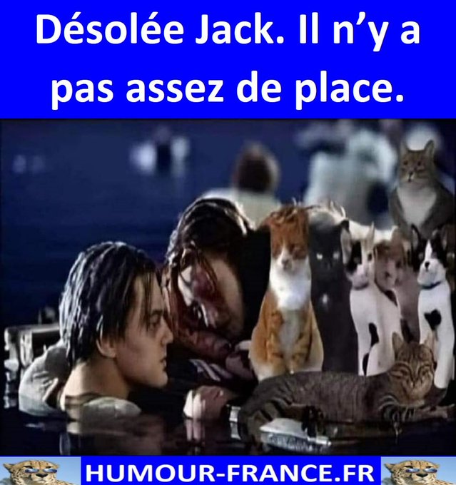 text alternatif