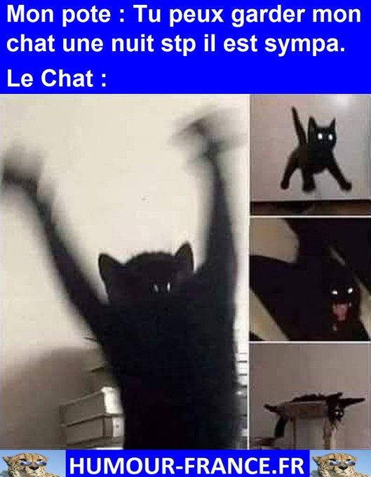 text alternatif