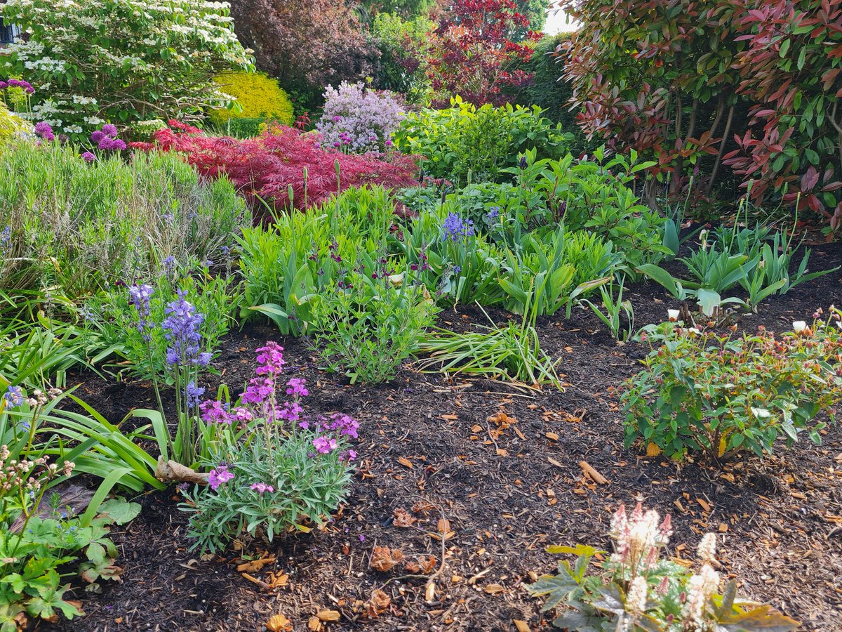 ScovellandSons's tweet photo. Maintaining beds and borders is a core part of the services we offer at https://t.co/4DJCnH7zqP.
Get in touch for a free no obligation quote.
#bedsandborders #herbaceousborder #gardening #gardenmaintenance #gardensofinstagram https://t.co/GvqnHDmVry