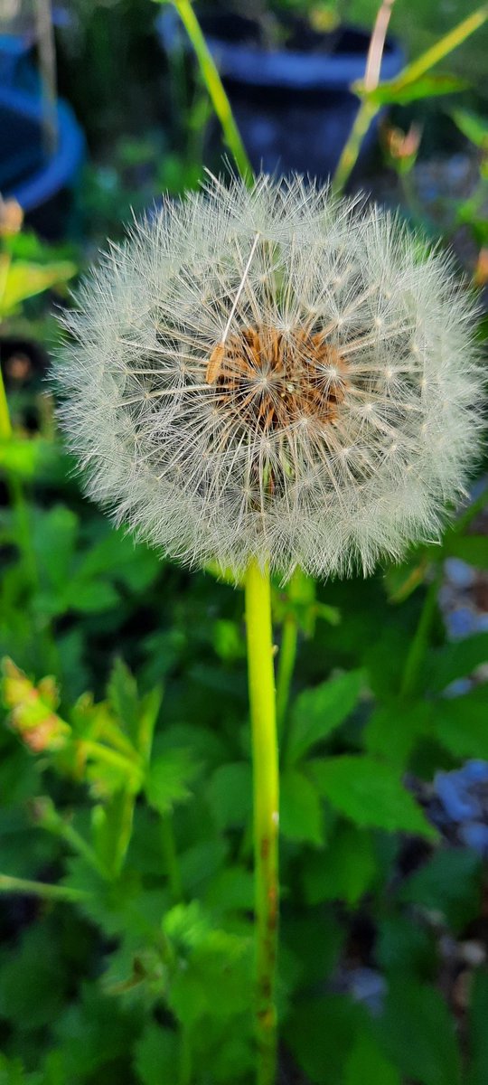 Jen D'Free 🇺🇦 💚🤍💜 tweet media