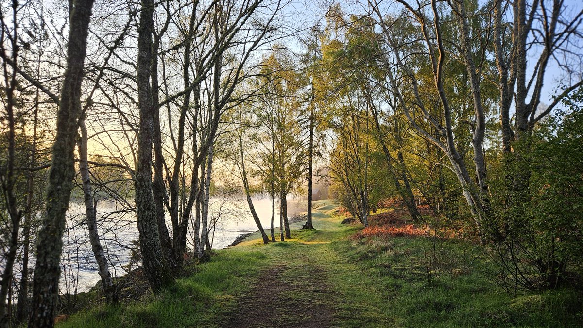 Beautiful early morning light