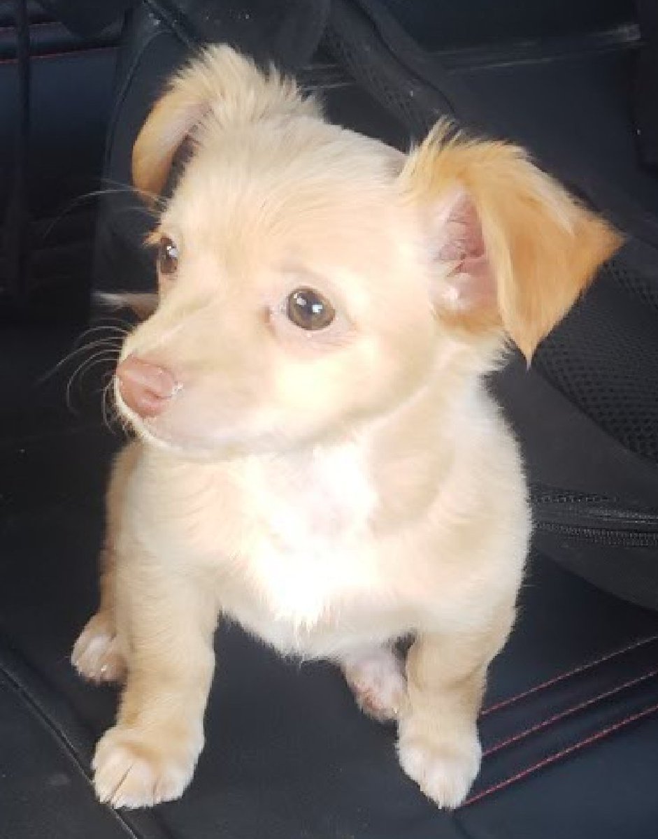 Andrea ψ Jerzey Girl 🇺🇸🐞🐾🖤🎸🎶🤘⚡🖤 tweet media