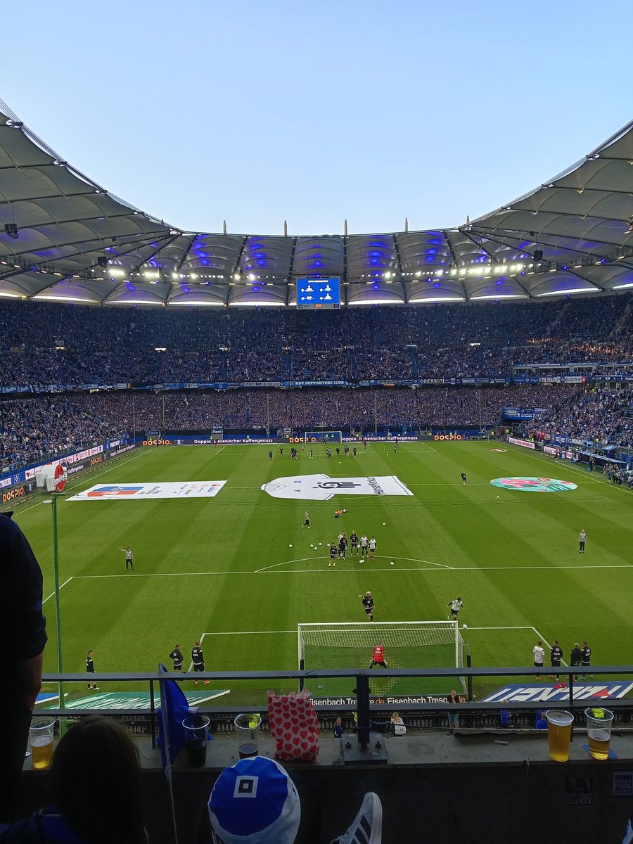 Mögen wir uns wieder sehen HSV🫡
