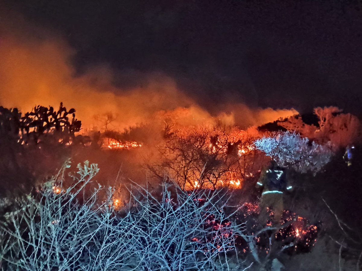 ¡En coordinación, protegemos nuestro entorno! 🔥🌲

👩‍🚒Bomberos de León brindaron apoyo en el combate de un incendio forestal en la comunidad San Antonio de Padua. 

🔥El siniestro afectó aproximadamente 120 hectáreas de zona natural.