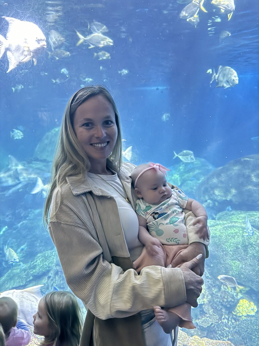 JakeCrain_'s tweet image. Definitely recommend the Chattanooga aquarium. Especially if you have kids.