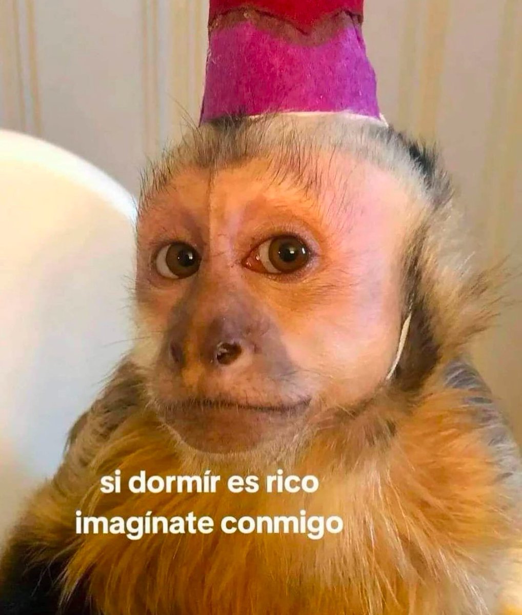 En Júpiter (@en_jupiter_) on Twitter photo 