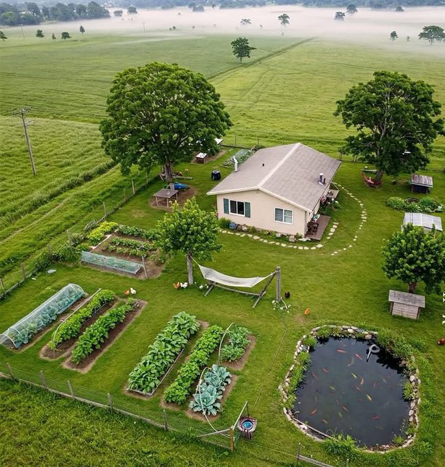 Diary___00's tweet image. تعریف من از ثروت.