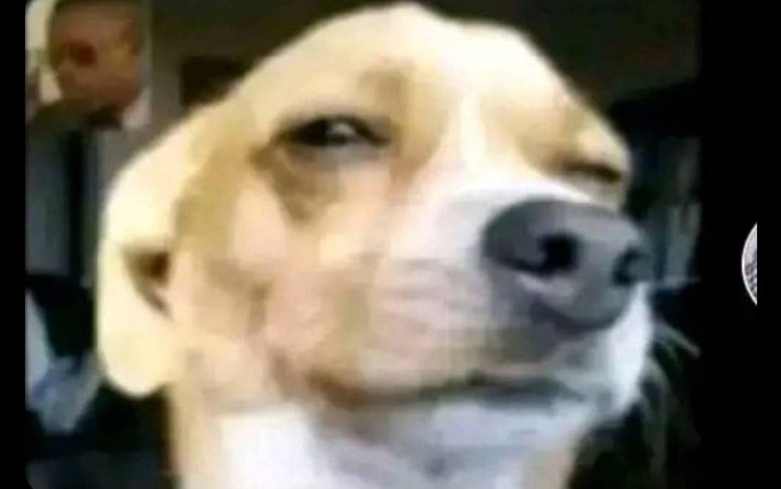 Dr. Dark Humour 🤘👿😂 tweet media