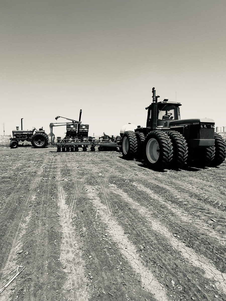 Tales from the Feedyard (Uncensored) tweet media