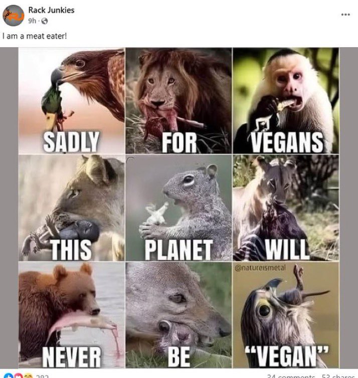 If trophy hunters aren't putting the CON in conservation they are goading vegans!

RT if you want a GLOBAL ban on #trophyhunting NOW!!