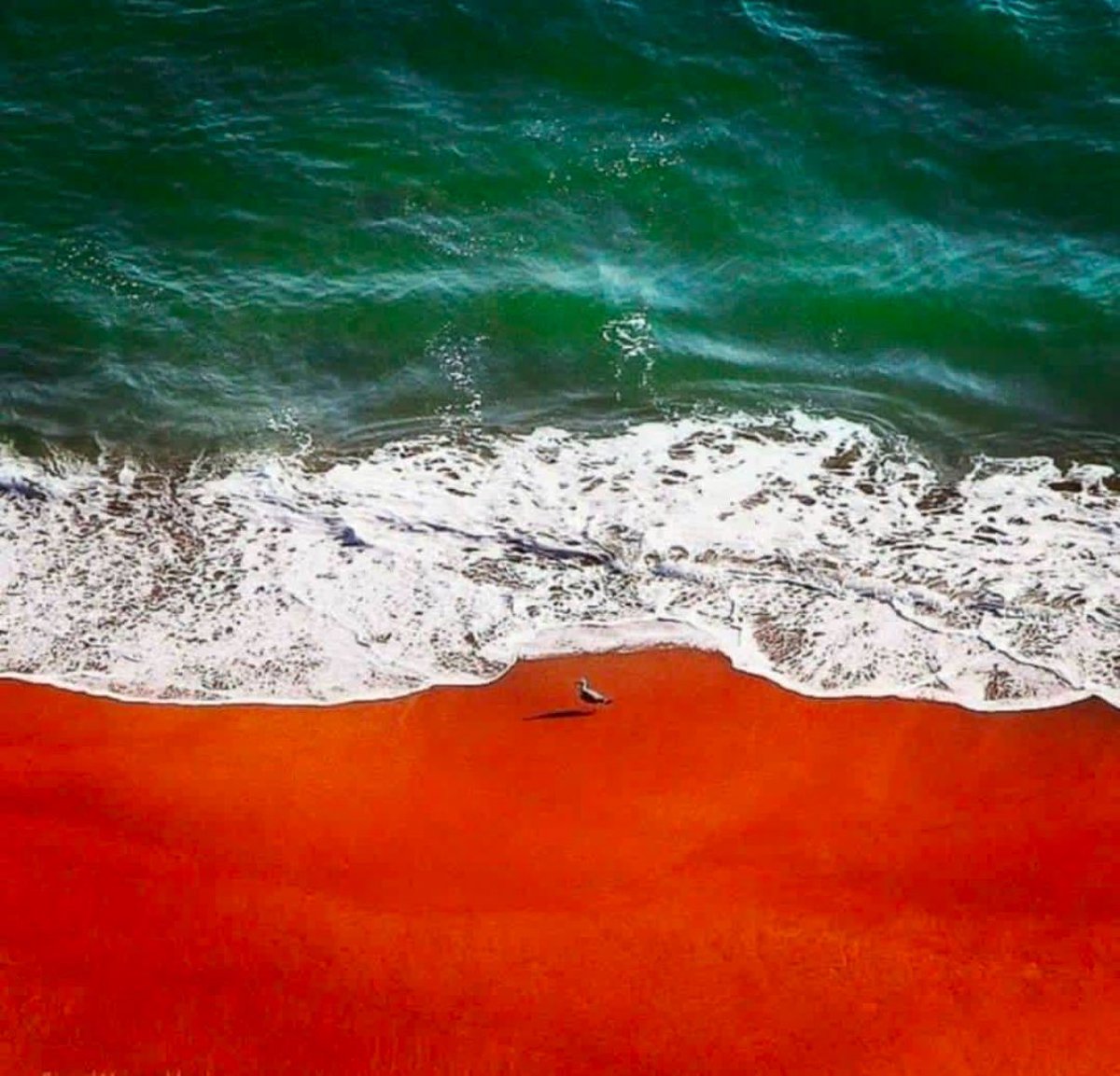 Exploring the Persian Gulf's hidden gems: coral reefs teeming with life, historic pearl-diving sites, and coastal sunsets that steal your breath. A cradle of civilization and natural beauty! 🪸🌅 #PersianGulf