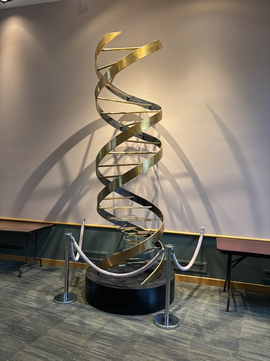 Really enjoyed being at Biology of Genomes 2025: great science, great people, and great feedback on my work! Also cool and interesting to learn how academic systems differ across countries. #BoG25