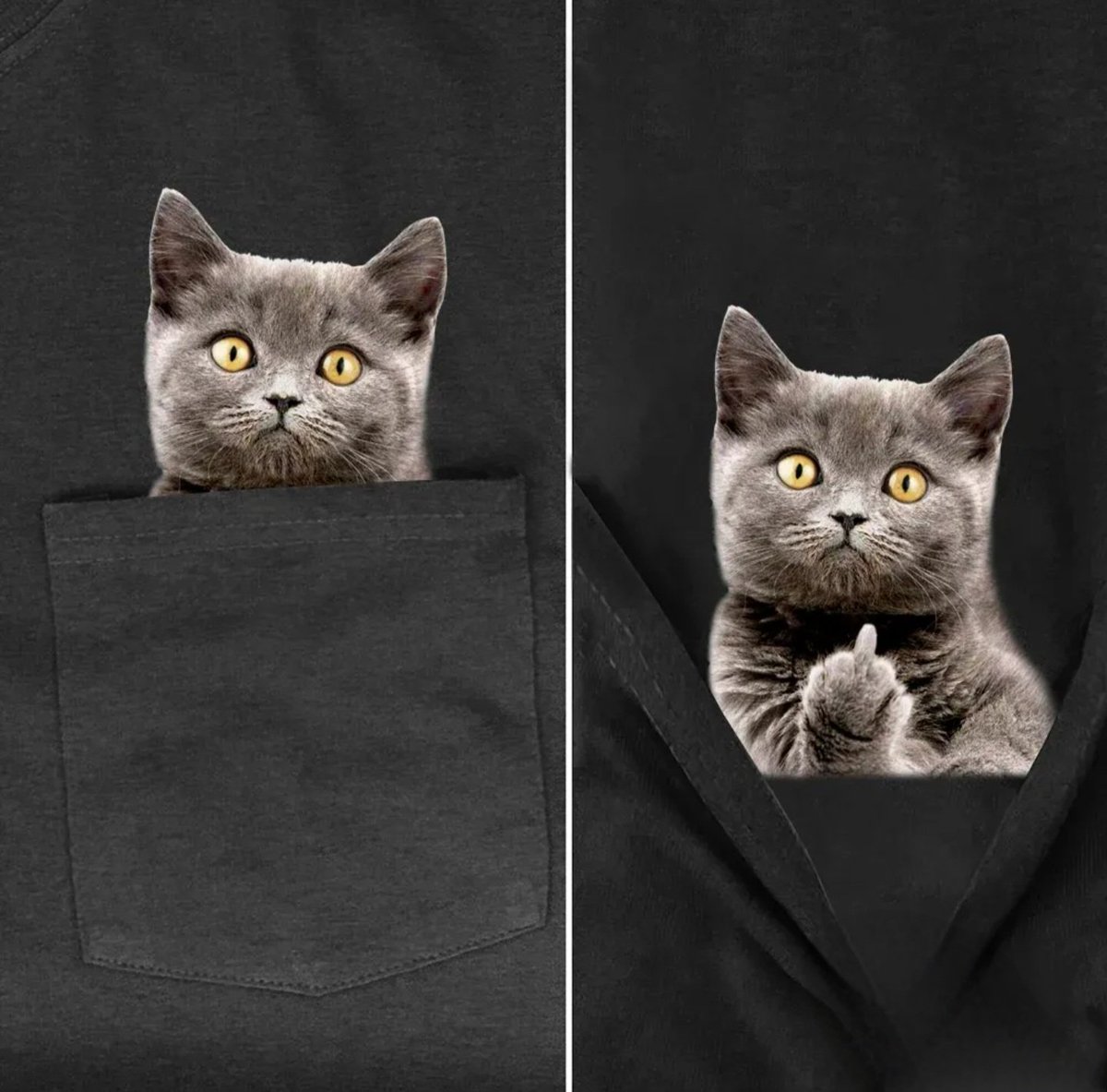 Permabear doom and gloomers in straight disbelief

And it's glorious