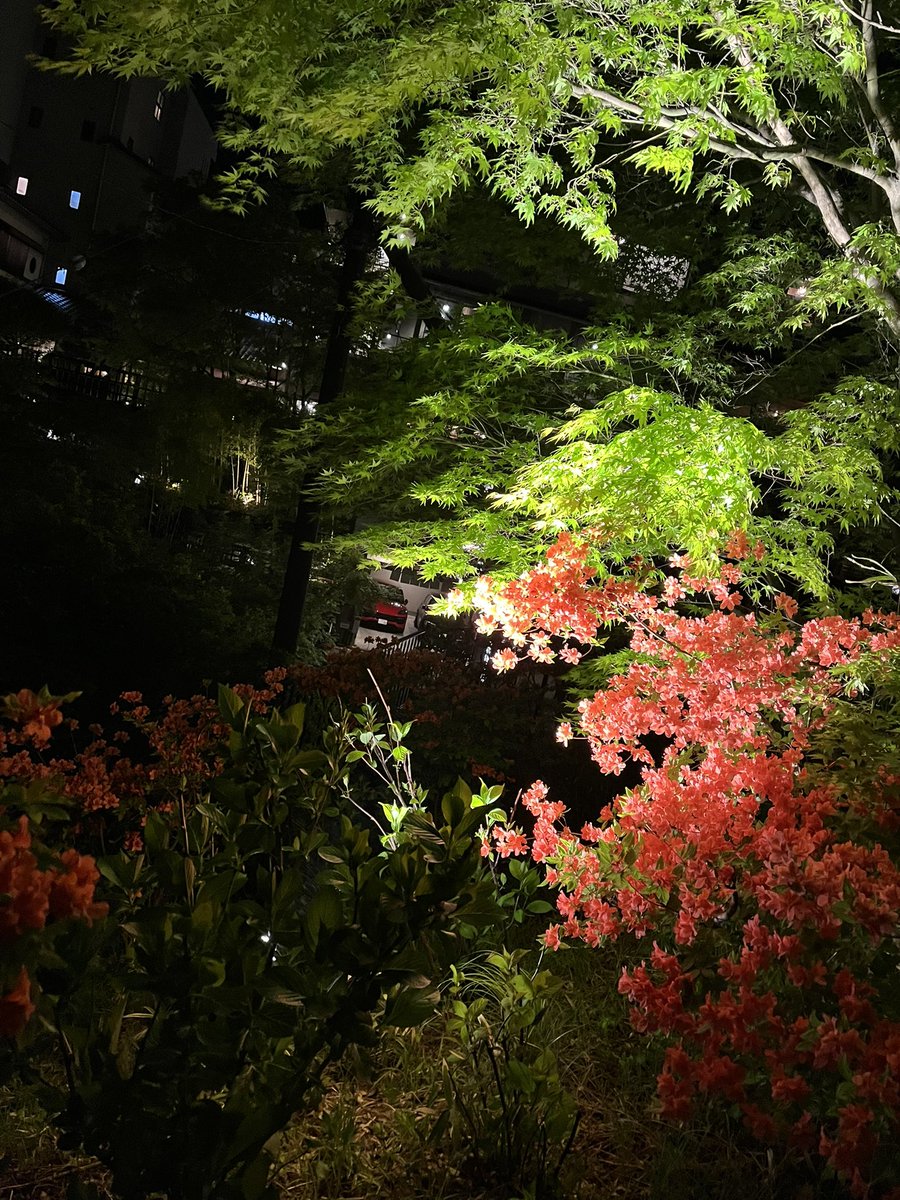 kicker296's tweet image. 