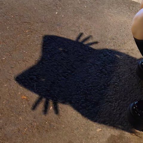 innibnah's tweet image. 아니 원래는 왼쪽그림자가 되야하는데 
성한빈이 만든 고양이수염 그림자 꼬라지보셈 제발 아 웃겨서눔물나옴