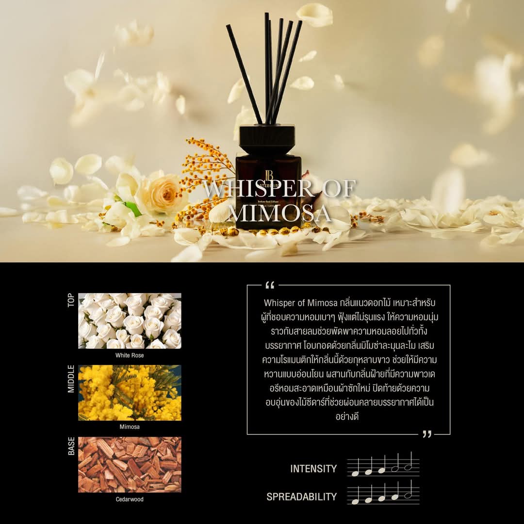 polapola98's tweet image. กลิ่นโปรดของเราไม้เเละเชอรี่ Level of Scent - Perfume Reed Diffuser
▪️ความเข้มข้น 4
▪️ความกระจาย 4

#PerfumeReedDiffuser #ก้านไม้หอมปรับอากาศ #RoaringSandalwood #Hateberryscent