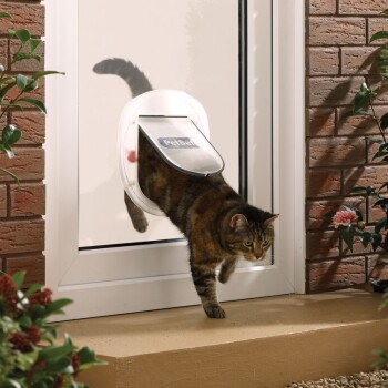 Moggy Door #GardenItemsInAGeographicalPlace